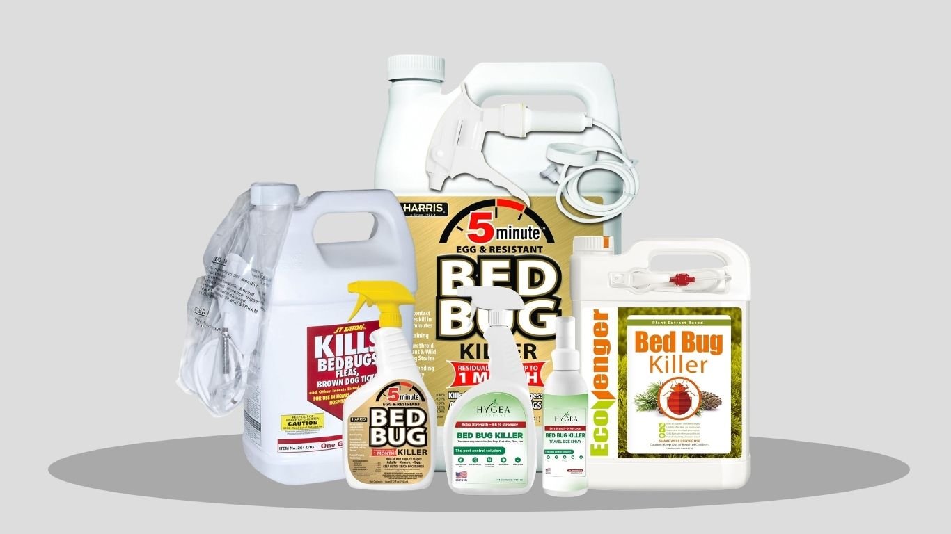 12 Best Bed Bug Sprays That Actually Work: Review in 2026