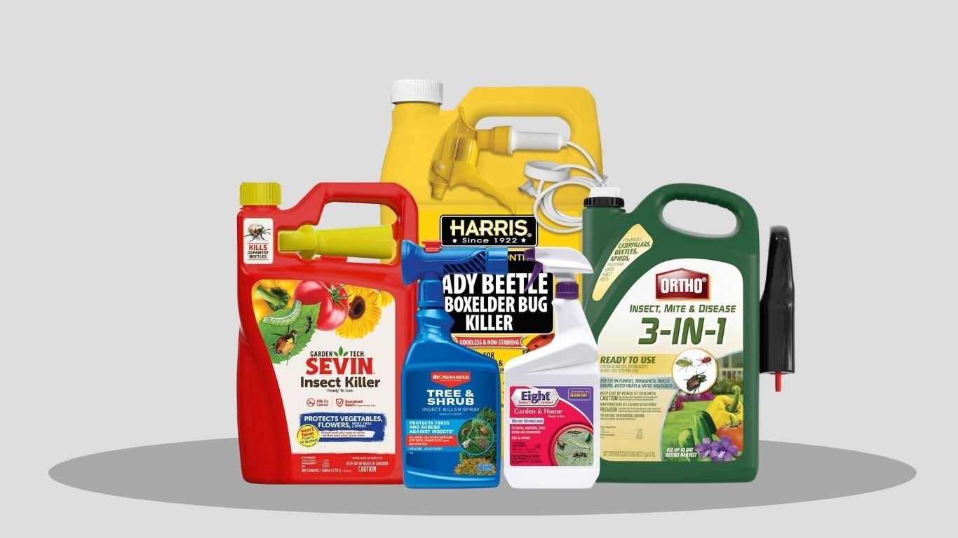 6 Best Insect Sprays for Japanese Beetles (2026 Guide)