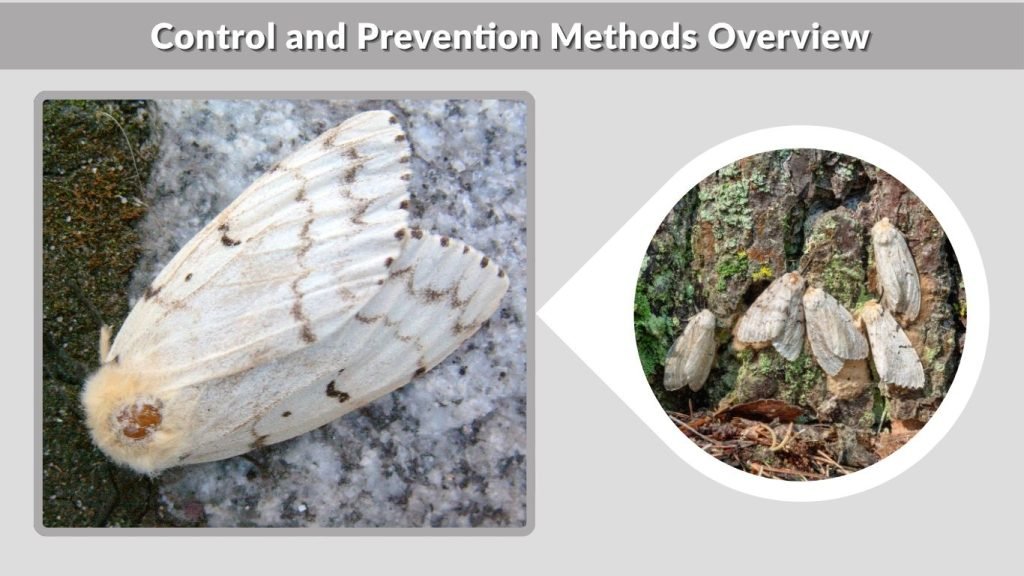 Control and Prevention Methods Overview