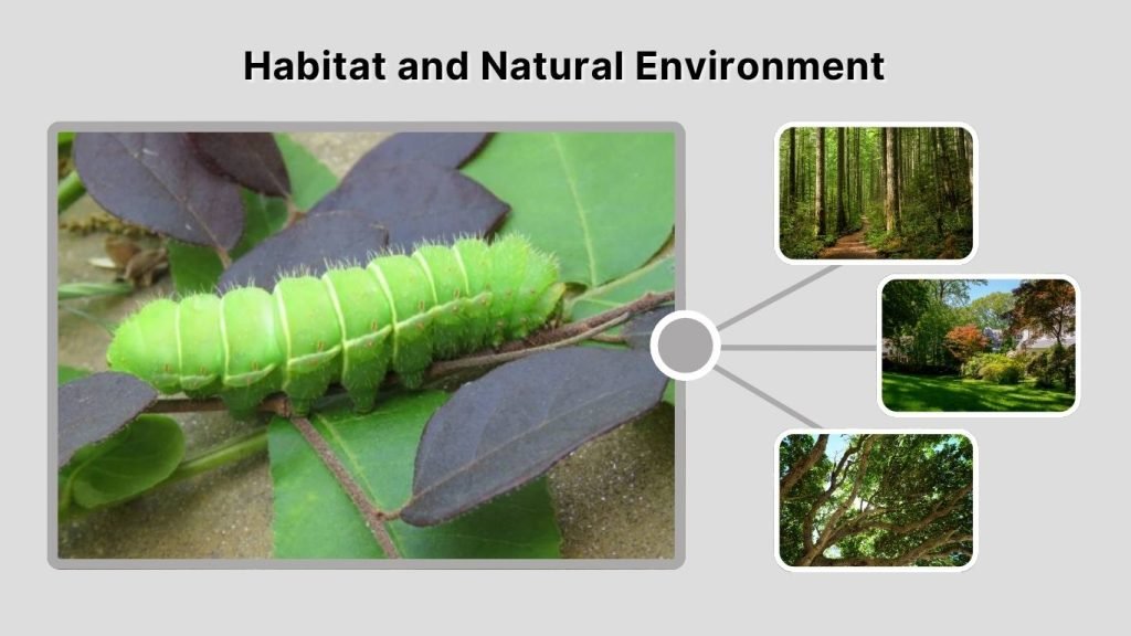 Habitat and Natural Environment