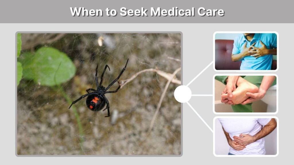 When to Seek Medical Care