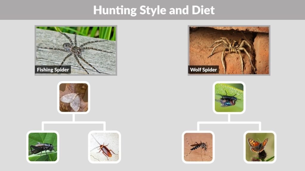 5. Hunting Style and Diet