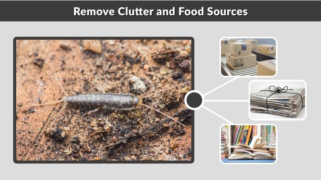 Remove Clutter and Food Sources