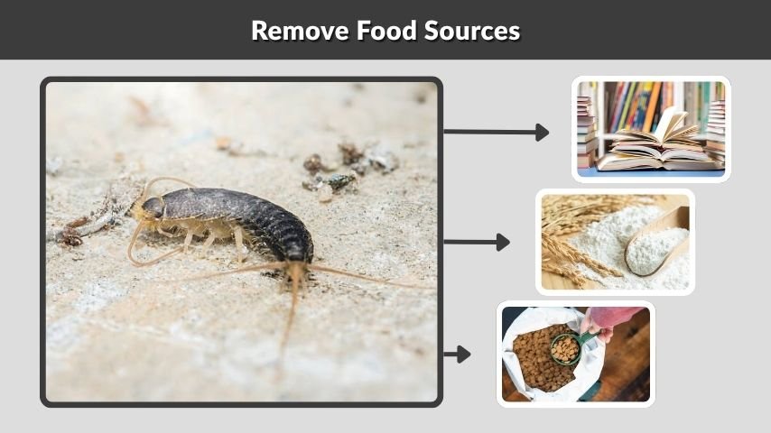 Remove Food Sources