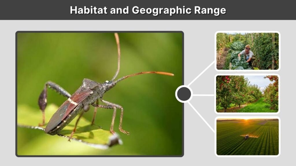 Habitat and Geographic Range