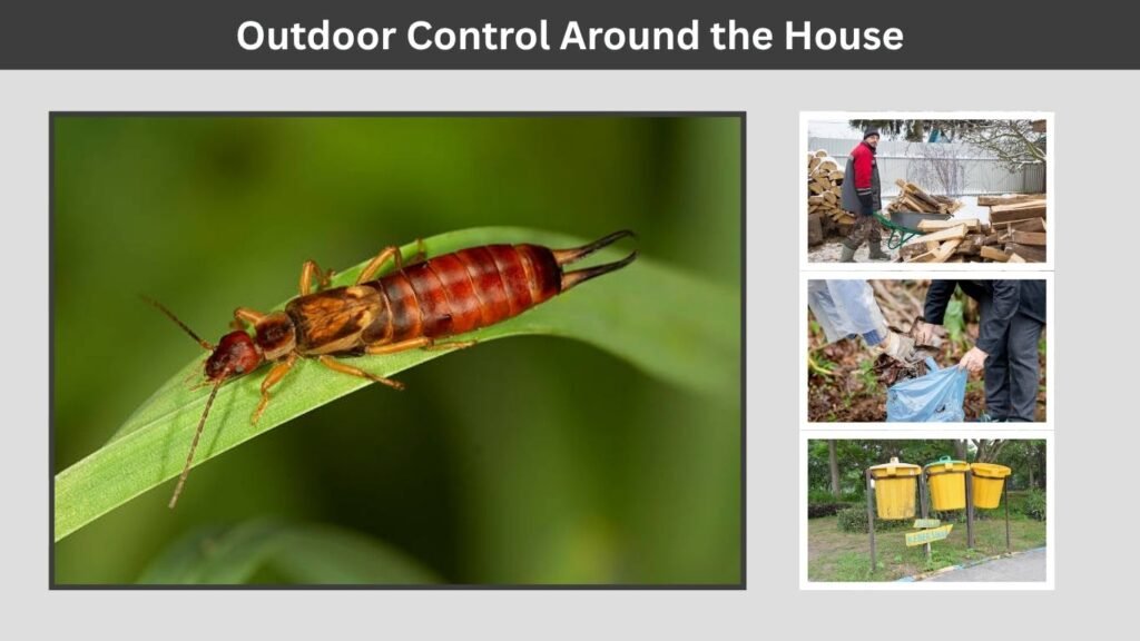 Outdoor Control Around the House