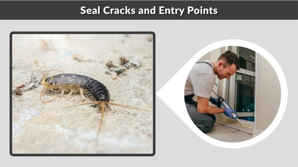  Seal Cracks and Entry Points