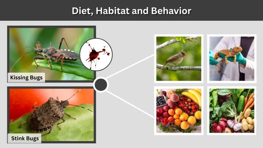 Diet, Habitat and Behavior