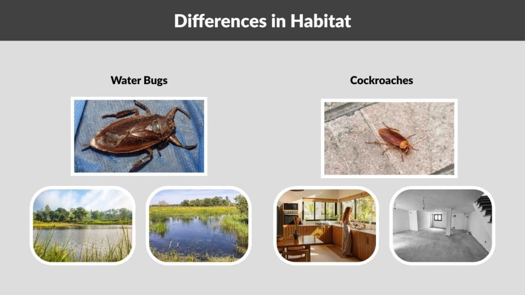 Differences in Habitat