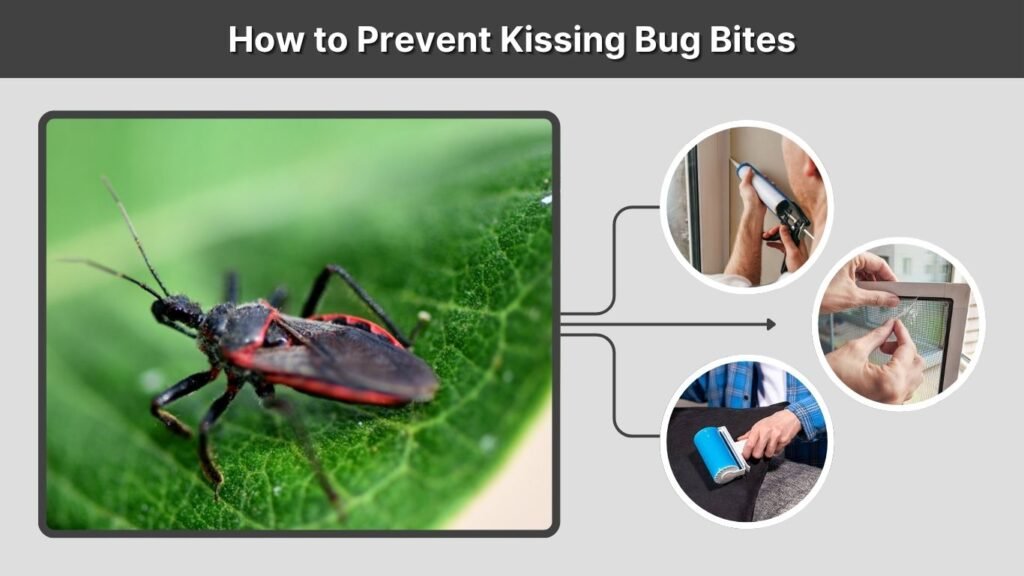 How to Prevent Kissing Bug Bites