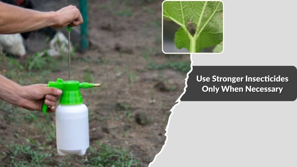  Use Stronger Insecticides Only When Necessary