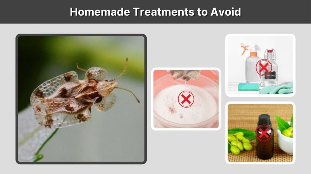 Homemade Treatments to Avoid