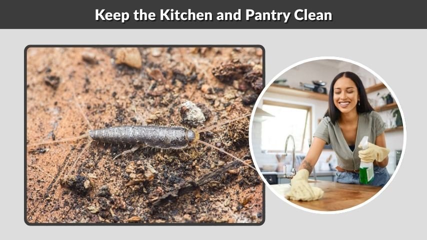 Keep the Kitchen and Pantry Clean