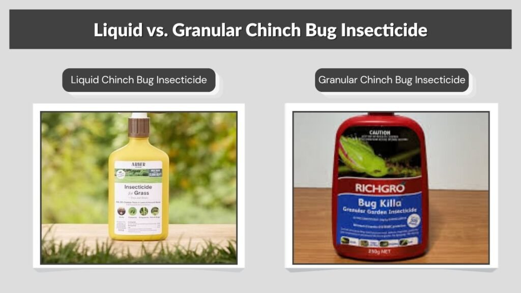 Liquid vs. Granular Chinch Bug Insecticide