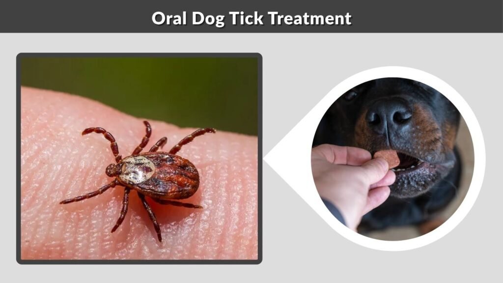 Oral Dog Tick Treatment