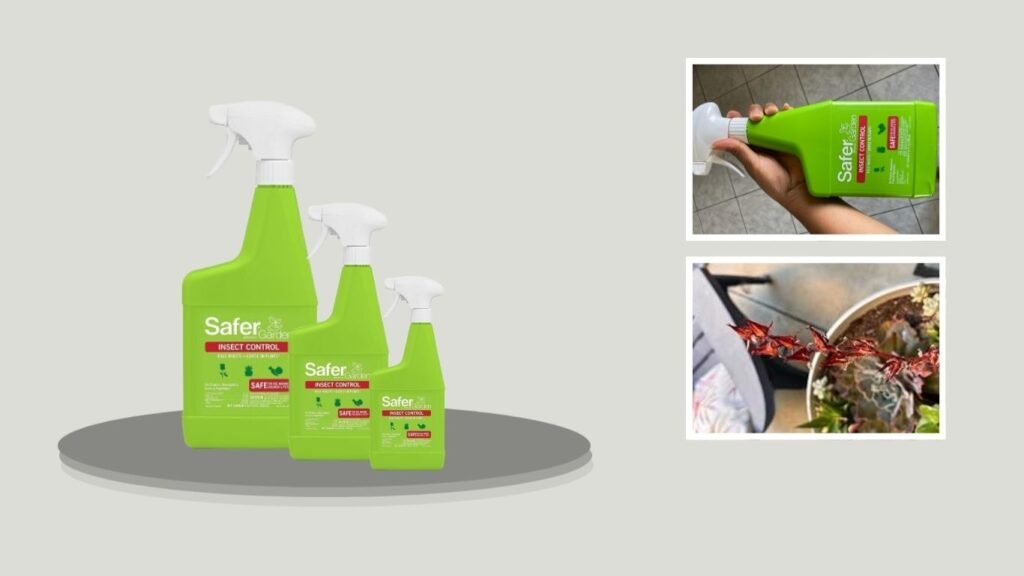 3. Safer Brand Garden Insect Control Spray