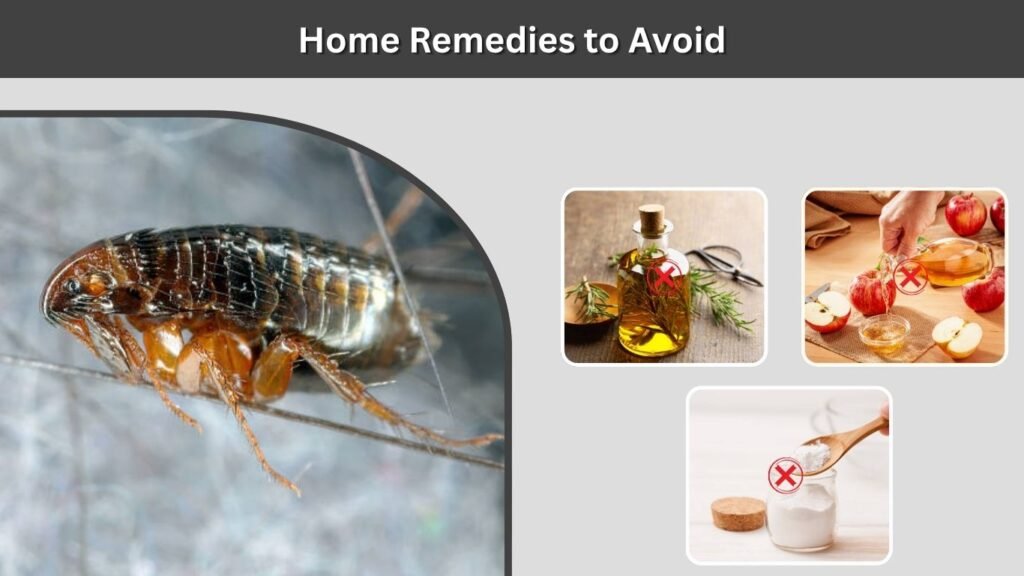 Home Remedies to Avoid