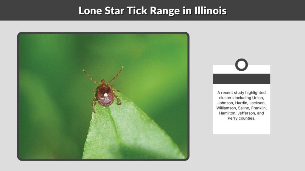 Lone Star Tick Range in Illinois