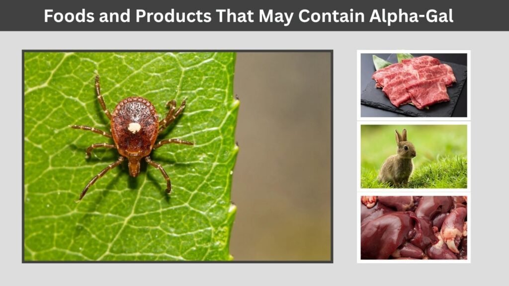 Foods and Products That May Contain Alpha-Gal