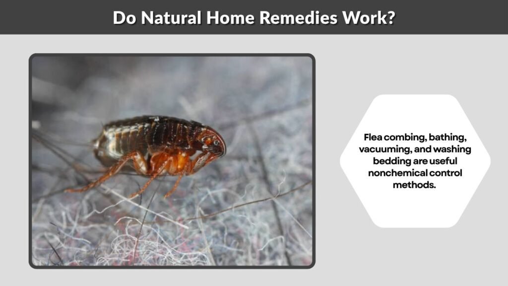 Do Natural Home Remedies Work?