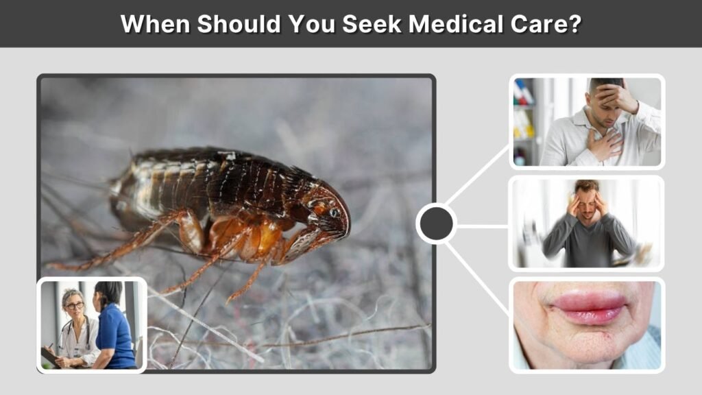 When Should You Seek Medical Care?