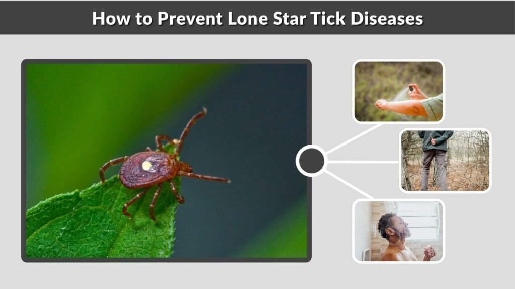 How to Prevent Lone Star Tick Diseases