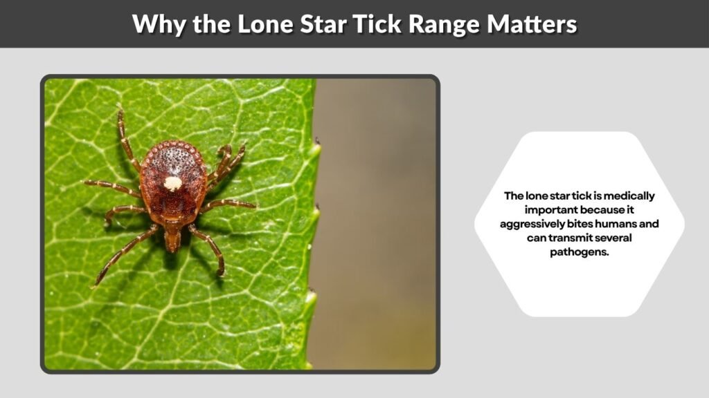 Why the Lone Star Tick Range Matters