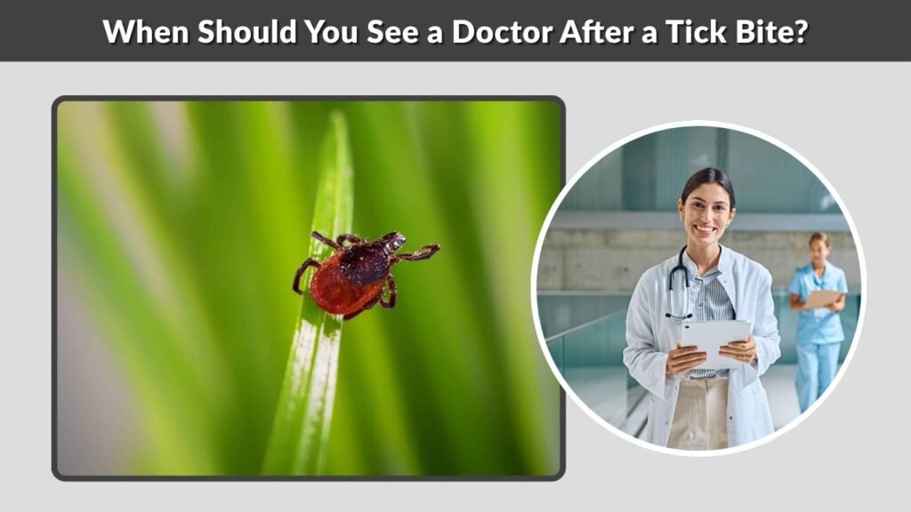 How to Treat a Tick Bite: Removal, Care, and Warning Signs