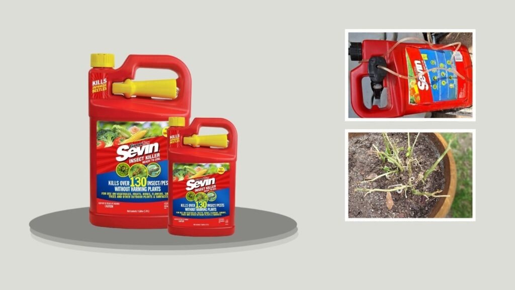 6. Sevin Ready-to-Use Bug Killer