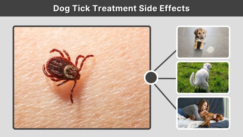Dog Tick Treatment Side Effects