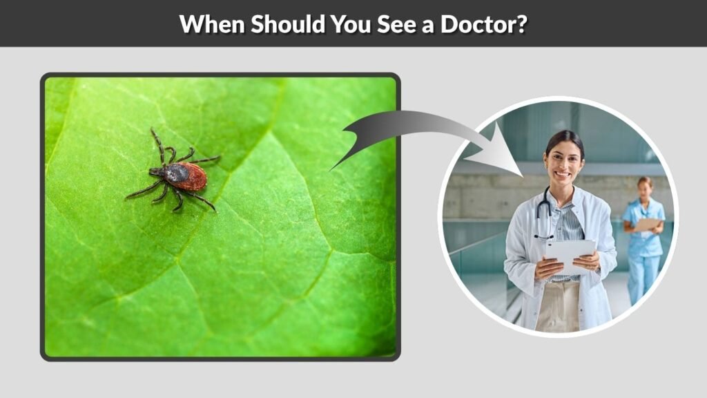 When Should You See a Doctor?