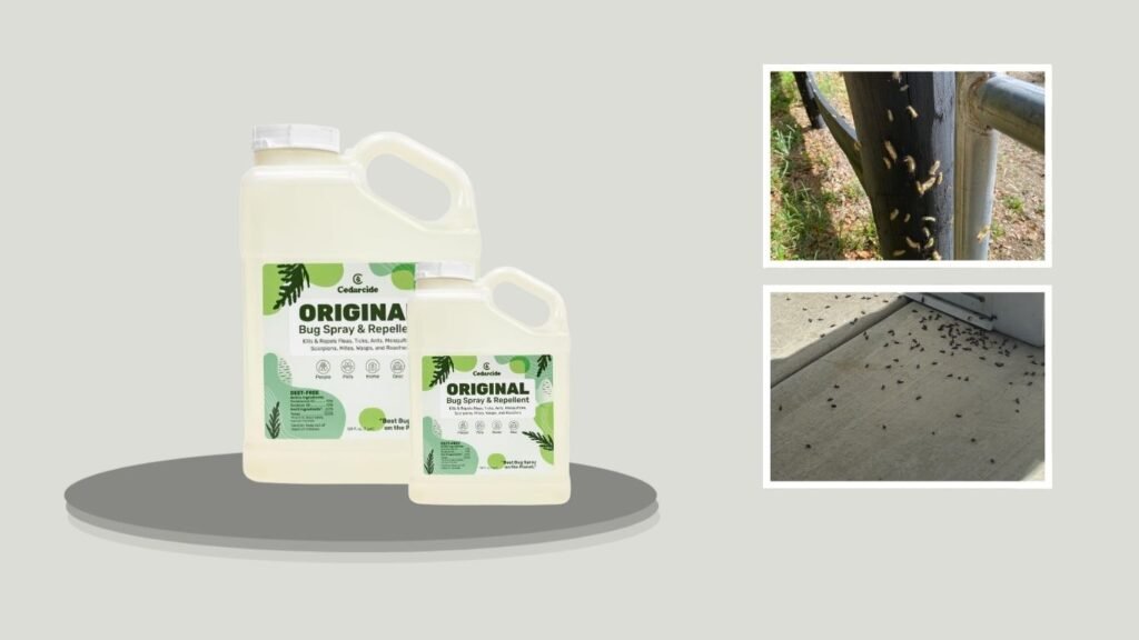 7. Cedarcide Original Cedar Oil Bug Spray