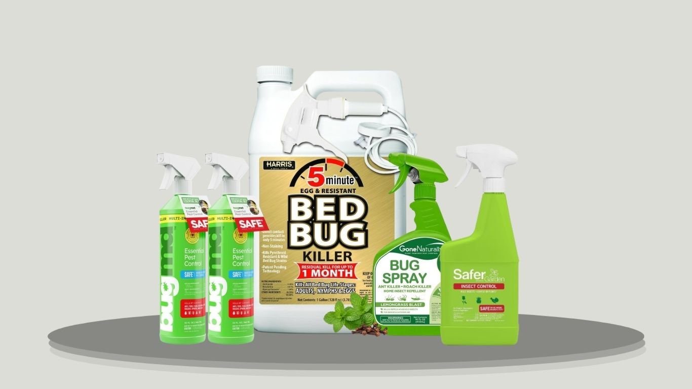 10 Best Sprays for Boxelder Bugs That Really Work