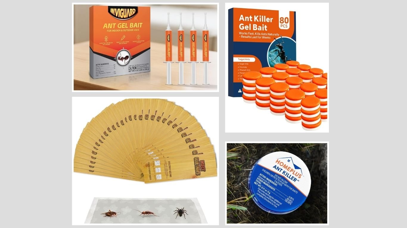 Top 9 Best Ant Traps for Indoor and Outdoor Use