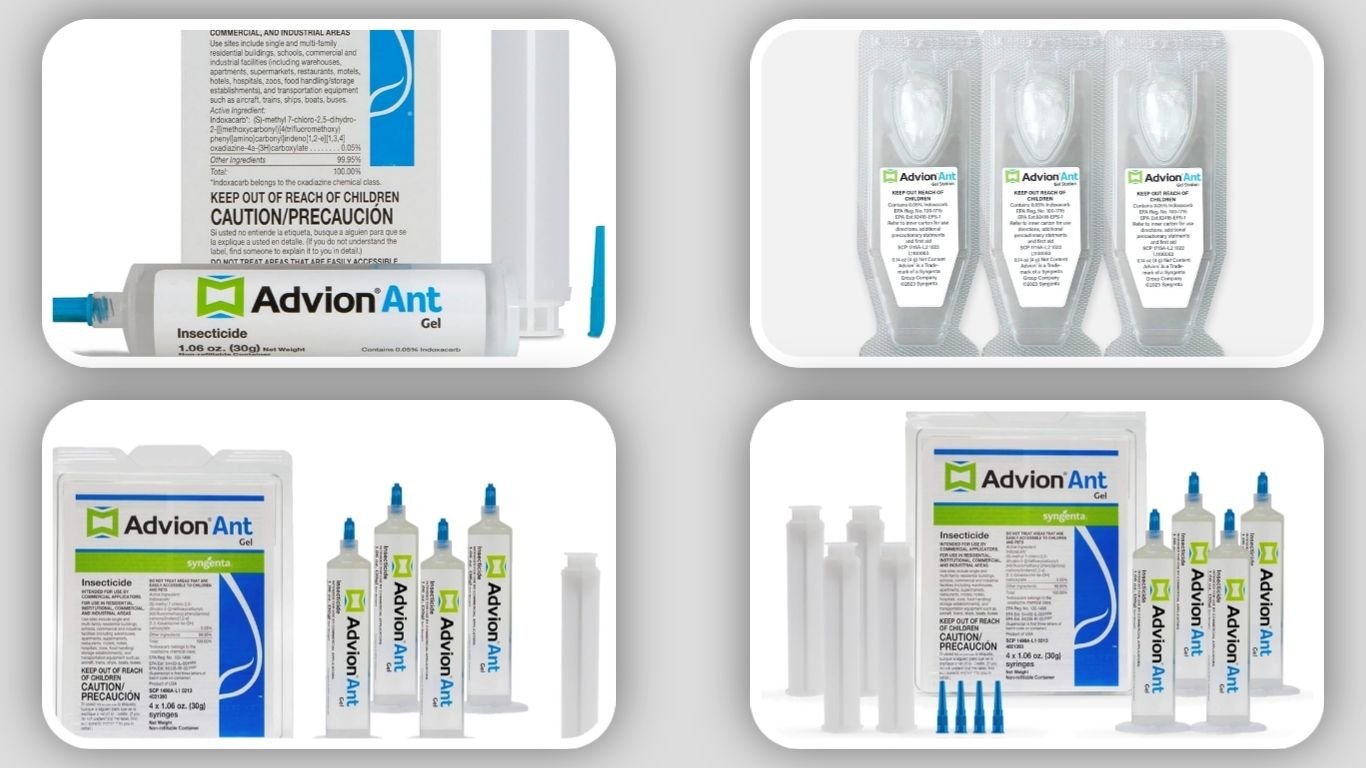 8 Best Advion Ant Gel Baits for Effective Ant Control