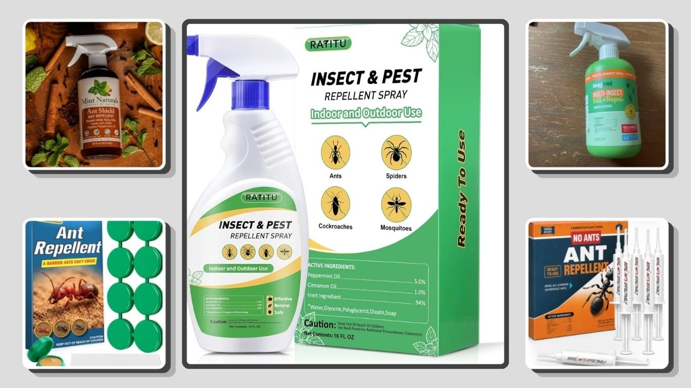 8 Best Indoor Ant Repellents for Kitchens and Homes
