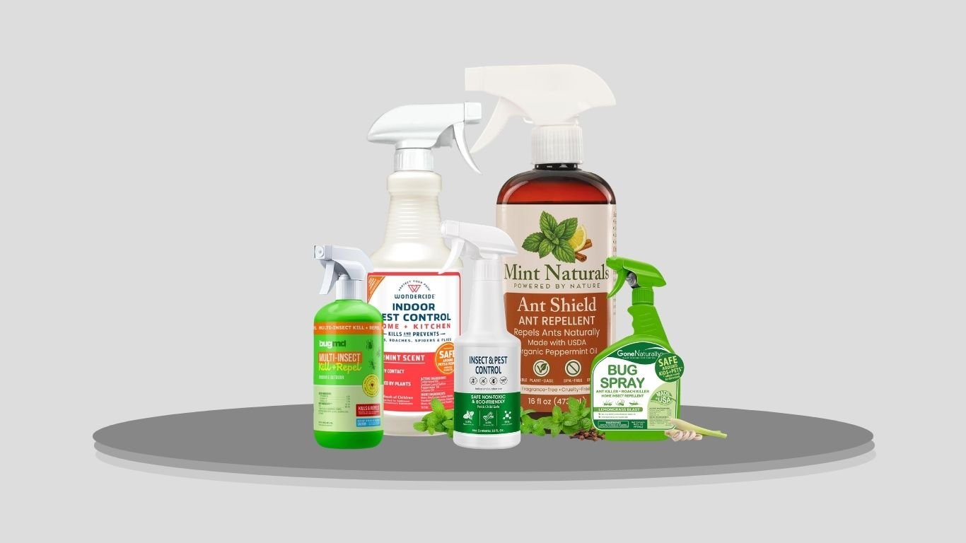 8 Best Ant Repellent Sprays for Indoor and Outdoor Use