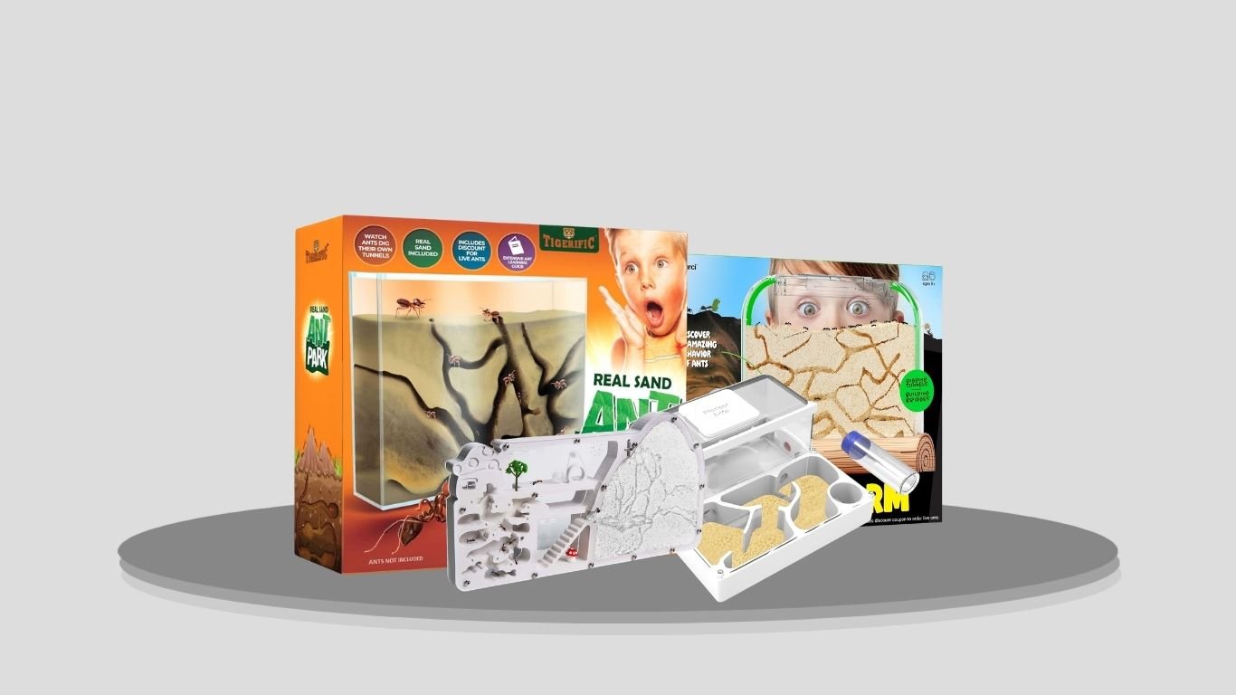 Top 10 Best Ant Farm Kits for Kids, Learning & Observation