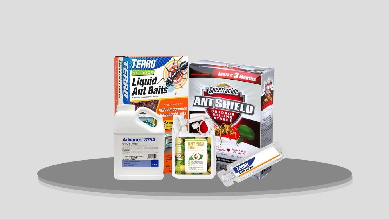 8 Best Ant Killers for Indoor and Outdoor Use