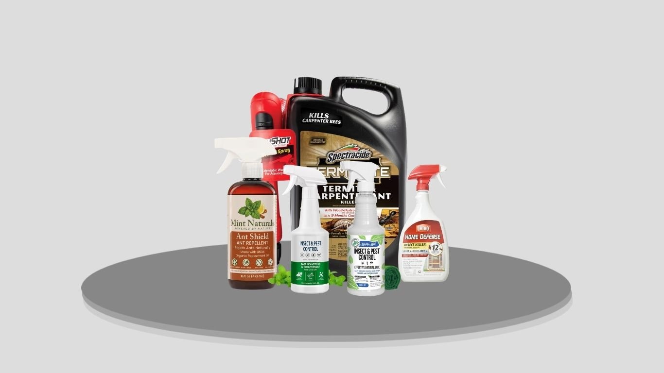 Top 10 Best Ant Sprays for Fast Indoor and Outdoor Control