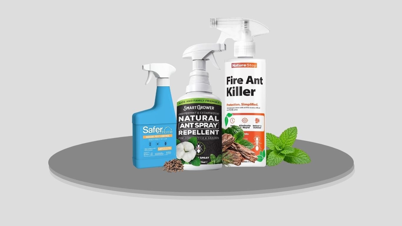 7 Best Fire Ant Sprays for Fast and Effective Control