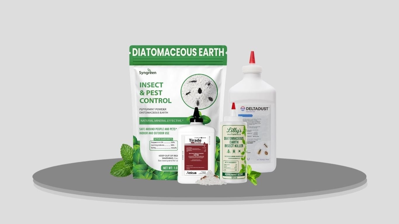 7 Best Ant Killer Powders for Fast and Effective Control