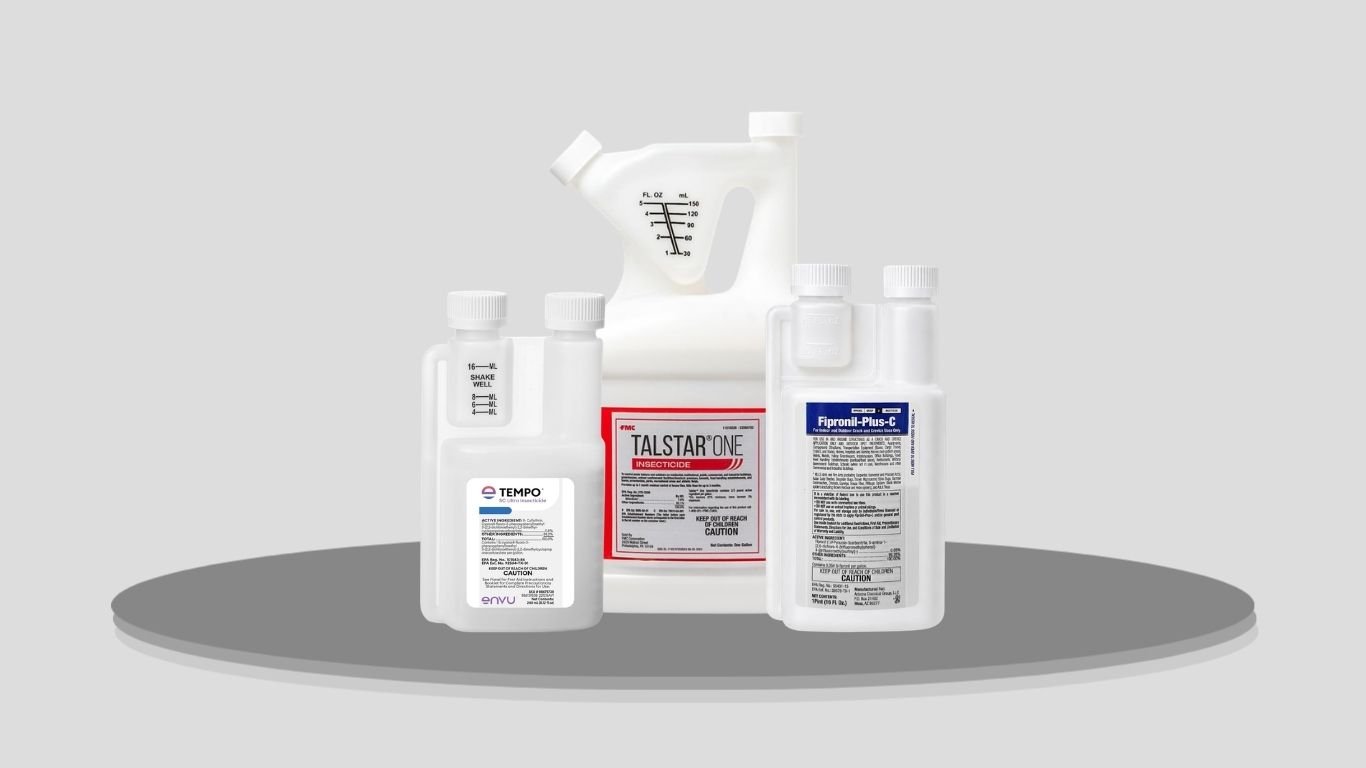 Top 5 Best Ant Insecticides for Fast and Long-Lasting Control