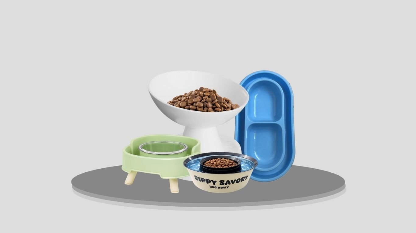 7 Best Ant-Proof Pet Food Bowls to Keep Food Clean and Pest-Free