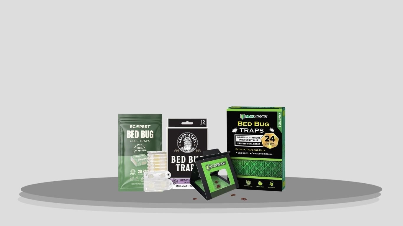 9 Best Bed Bug Sticky Traps for Early Detection and Control