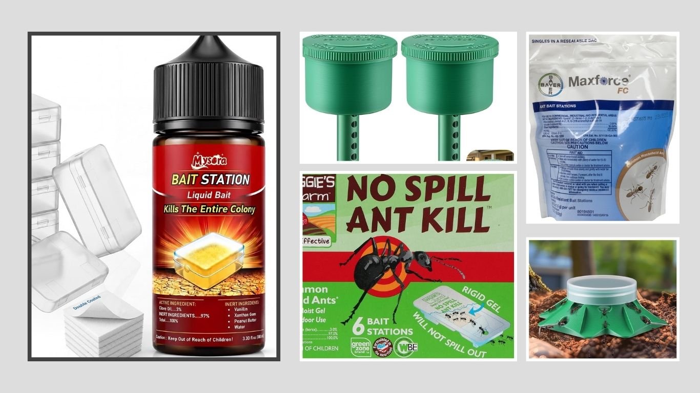 10 Best Ant Bait Stations for Indoor and Outdoor Control