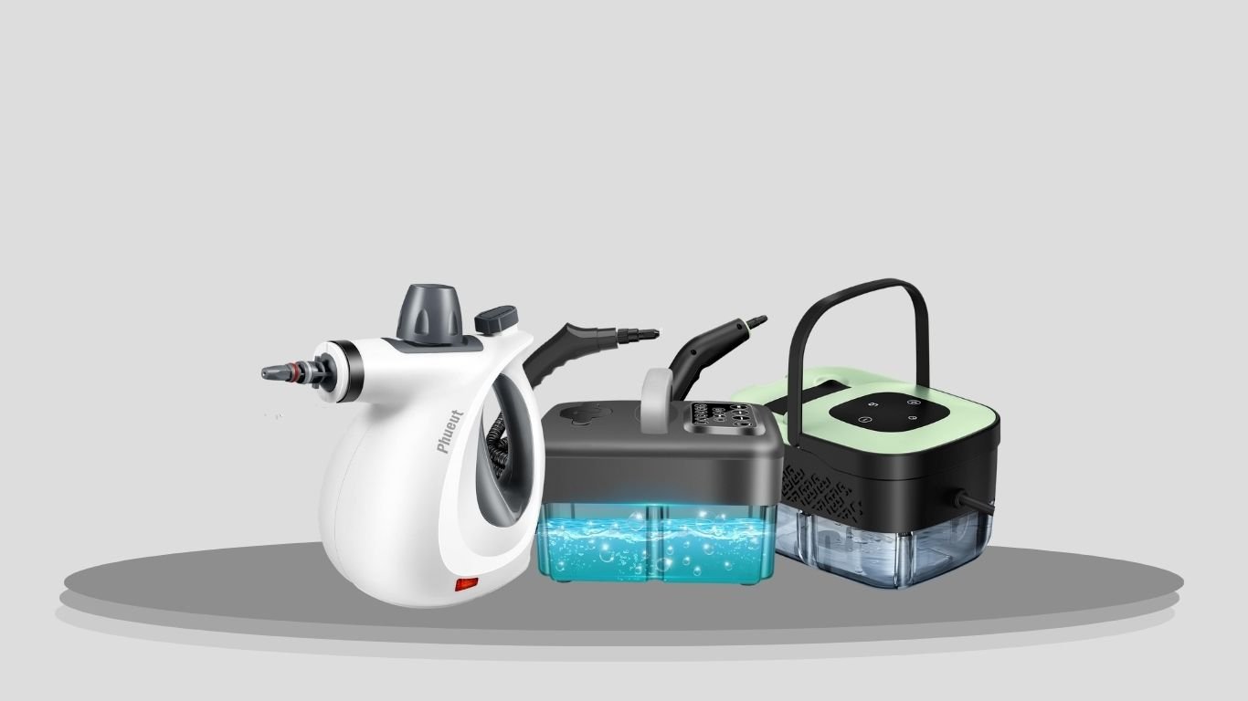 6 Best Bed Bug Steamers for Deep Heat Treatment
