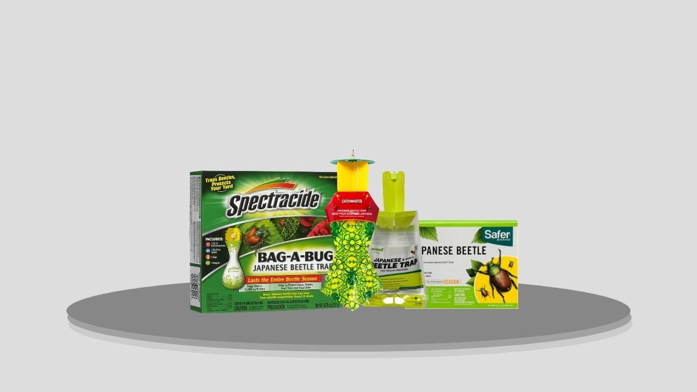 8 Best Japanese Beetle Traps for Gardens and Yards