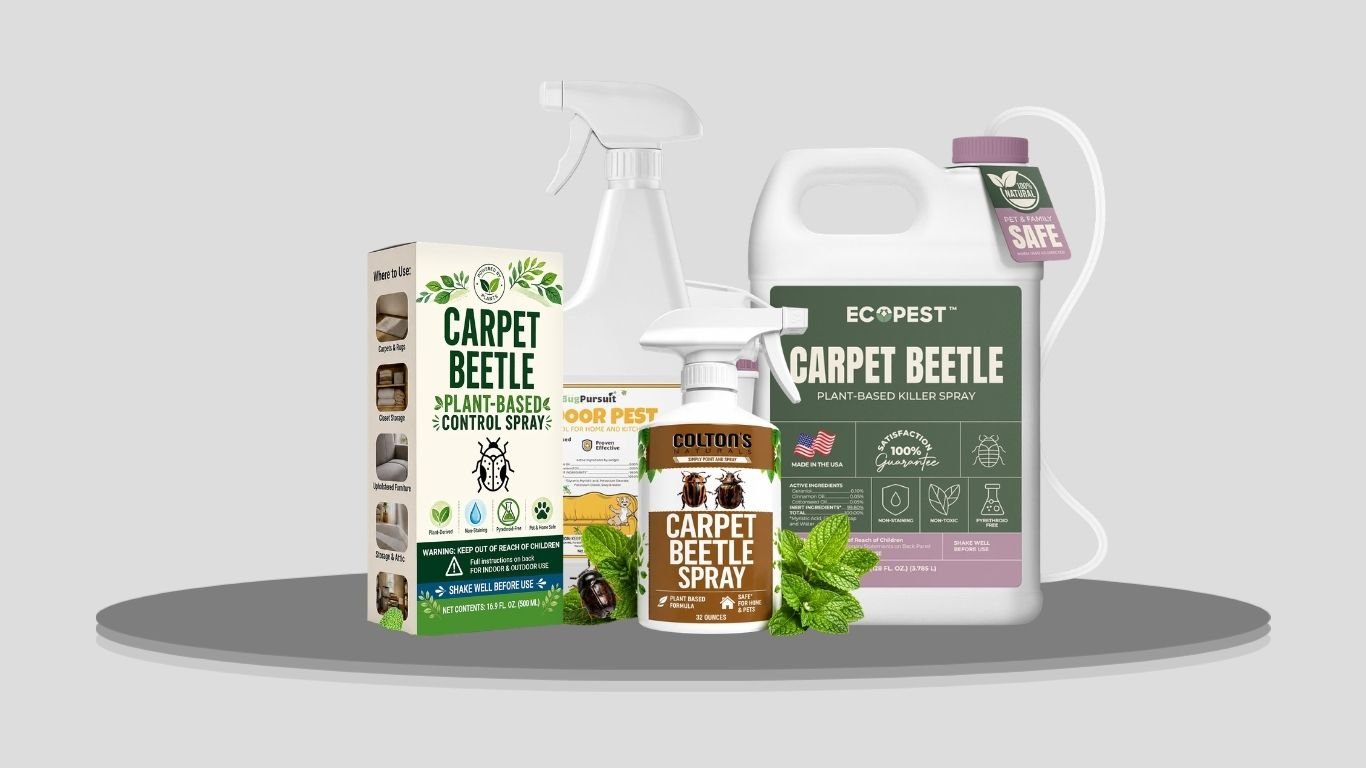 7 Best Carpet Beetle Sprays for Effective Indoor Control