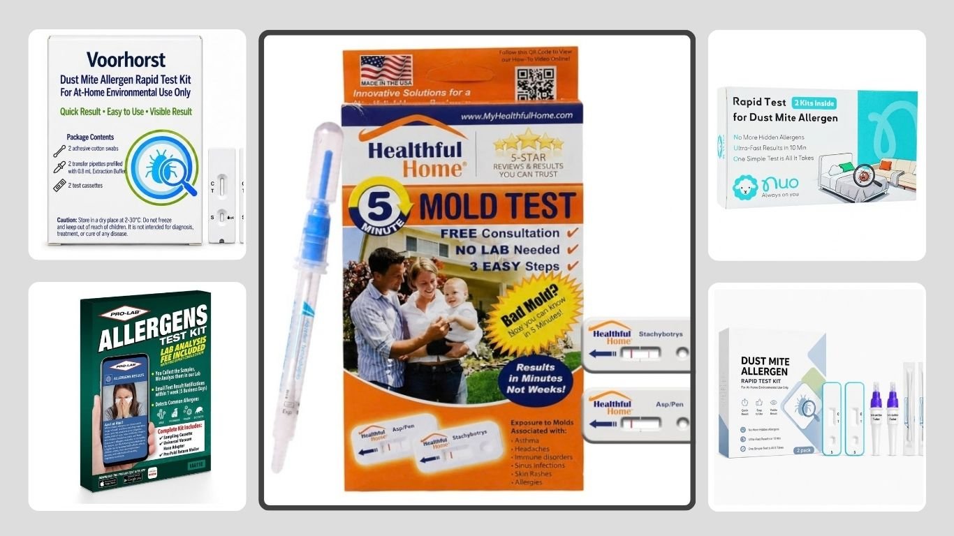 7 Best Dust Mite Test Kits for Easy Home Testing